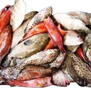 Ikan Dasar