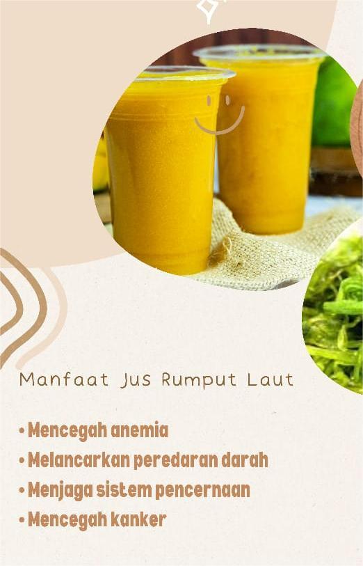 Mengapa konsumsi produk olahan rumput laut itu Penting?